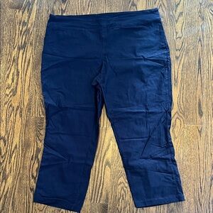 Tribal Midnight Blue Cropped Pants